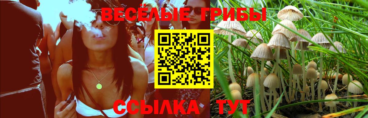 Псилоцибиновые грибы Cubensis  Галлюциногенные грибы Magic Shrooms  Вход с VPN  Гай 