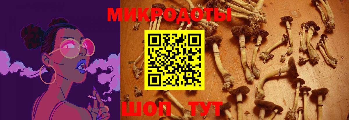 Псилоцибиновые грибы мухоморы Гай