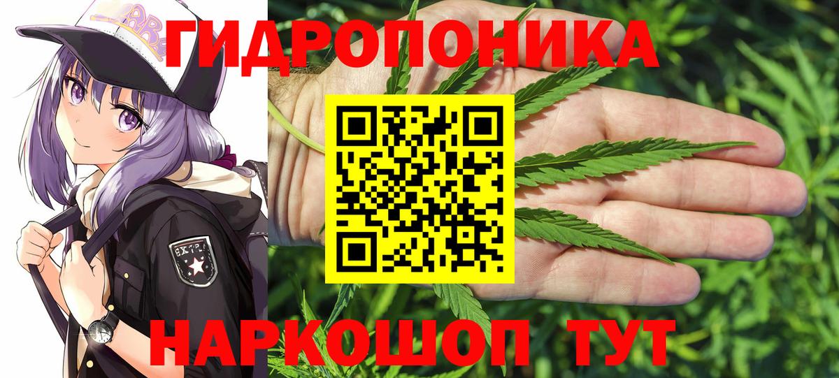 Бошки Шишки индика Гай